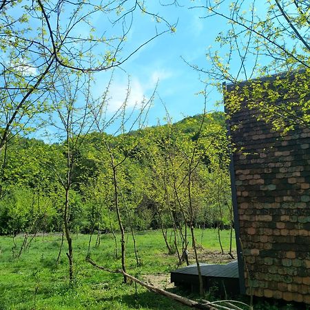 Hotel Retreat In Padure Buchin Exterior foto