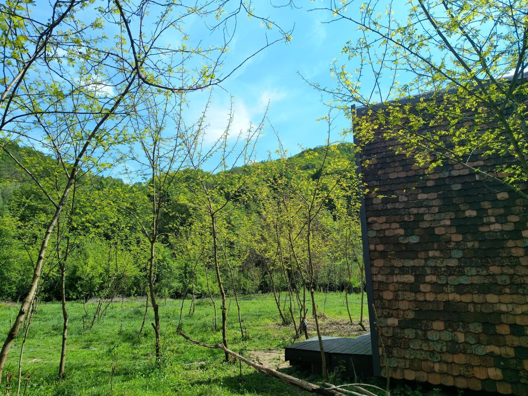 Hotel Retreat In Padure Buchin Exterior foto